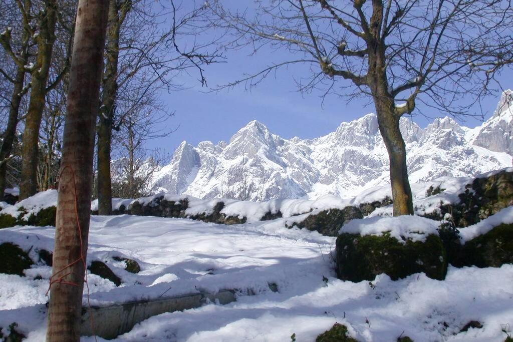 Aire De Montana - Estupendas Vistas A Los Picos Баро Экстерьер фото